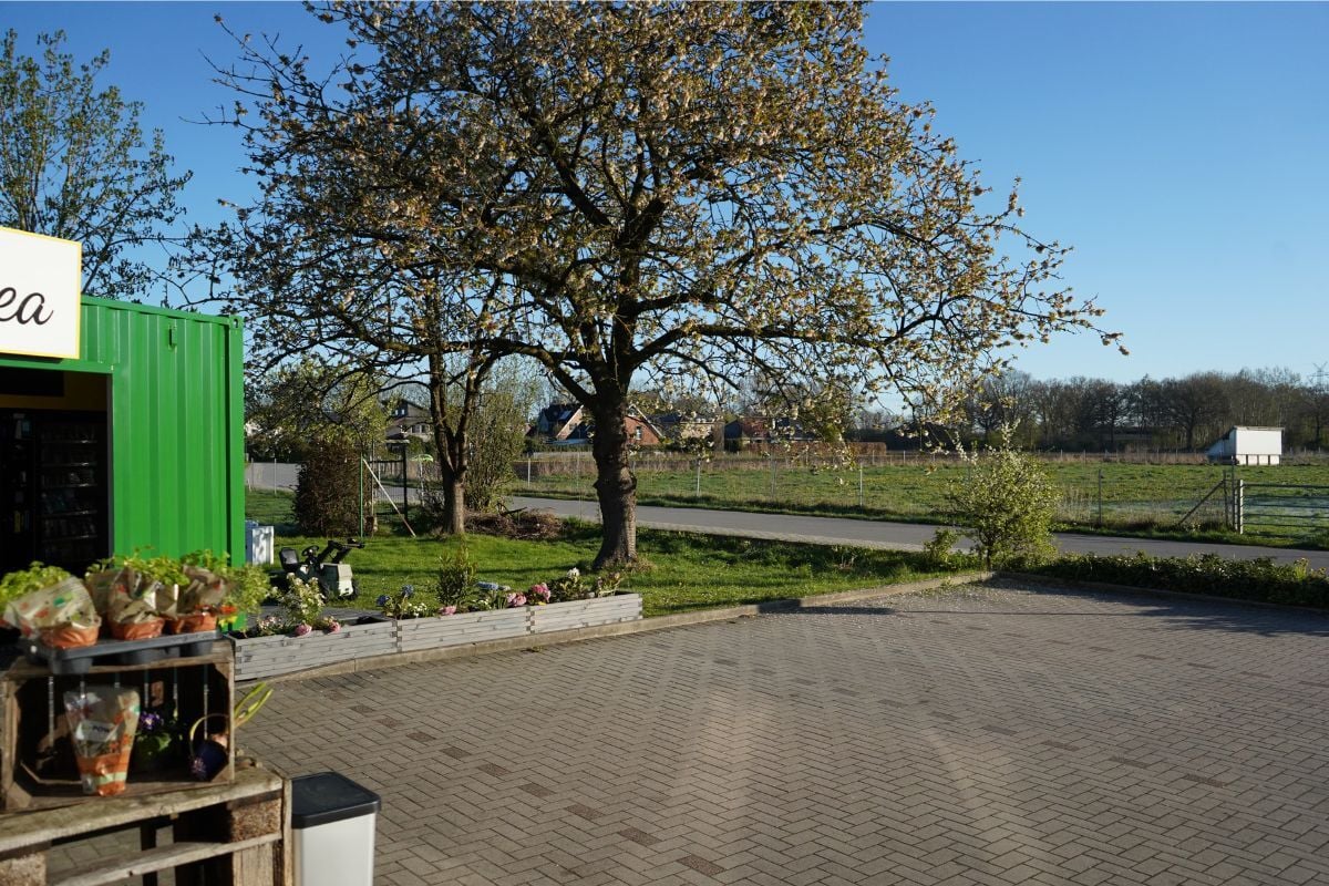 Parkplatz und Umgebung am Tante Thea Standort Hemdingen